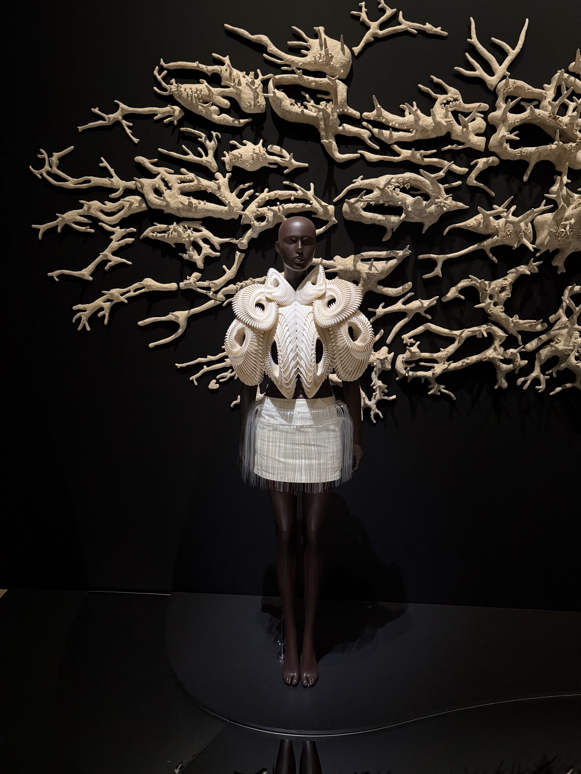 Iris van Herpen couture exhibition at Brooklyn Museum featuring futuristic wearable art and haute couture designs inspired by nature, water, and technology.