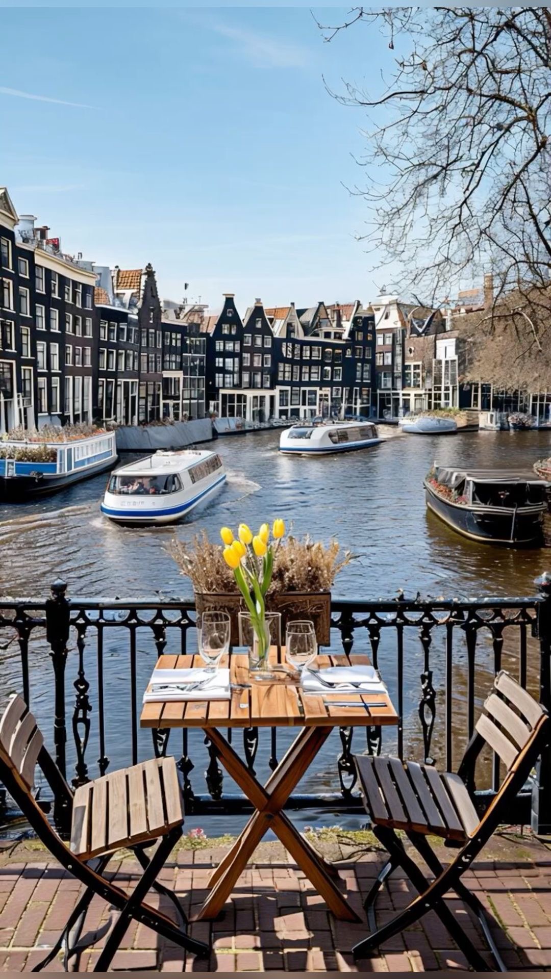     Dutch tulip season 2026